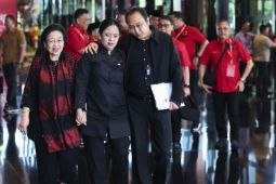 PDI Perjuangan: Prananda dan Puan kakak beradik, wajar harmonis