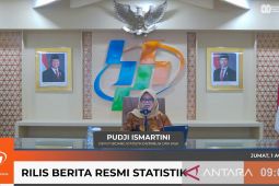BPS catat stimulus ekonomi akibatkan deflasi jasa angkutan penumpang