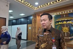 Sekda Lampung: Desaku Maju usung pendekatan pengelolaan potensi lokal