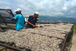Lampung usulkan pembentukan Kampung Nelayan Merah Putih di 10 kabupaten kota