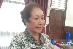 Dinkes Biak lakukan fogging cegah malaria di Pulau Bromsi sambut HUT RI