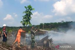 Kebakaran lahan di Sungai Rotan Muara Enim masih terjadi, BPBD sebut sudah hanguskan 6 hektare