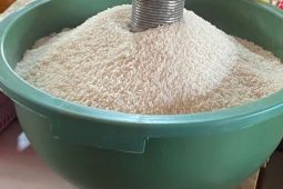 BI sebut inflasi Lampung akibat kenaikan harga komoditas pangan