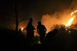 Lahan terbakar di Singkawang mencapai 100 hektare