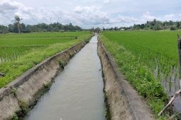 DKPP Belitung imbau petani antisipasi kekeringan hadapi kemarau