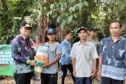 Kalsel kemarin dari pelatihan tenaga terampil hingga pengembangan jagung pakan
