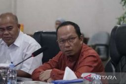 Program "Genting" Bangka Tengah sasar 1.136 anak