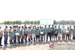 PLN UIW Babel tanam 10.000 bibit mangrove di Pantai Penyak
