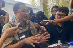 Perang harga beri dampak negatif pada penjualan mobil bekas