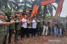Kemenhut dan Satgas PKH musnahkan sawit seluas 4.700 ha di Tesso Nilo