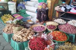 Disperindagkop UKM Kobar soroti fluktuasi harga cabai