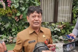 Bakesbangpol belum temukan pengibaran bendera One Piece di Kota Malang
