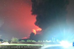 Gunung Lewotobi Laki-laki kembali meletus