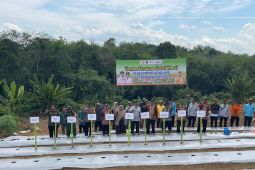 Penyuluh Pertanian Desa Kinarum perkuat ekonomi petani dengan koperasi
