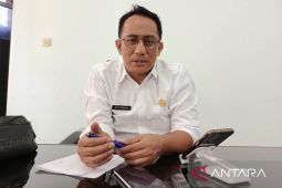 BPBD: Kebakaran hutan dan lahan dominasi bencana alam di Bangka Belitung