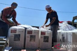 Pengamat Politik: PSU Papua harus jadi contoh demokrasi bermartabat