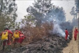 Pusdalops catat dua wilayah di Sumut  dilanda kebakaran hutan dan lahan