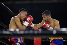 Canizales pukul KO Panya Pradabsri untuk merebut juara terbang ringan WBC
