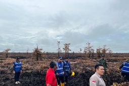 KLH segel lahan terbakar seluas 200 hektare di Kalbar