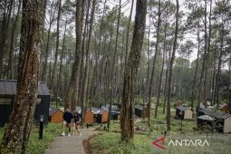 Jumlah perjalanan wisatawan nusantara Juni 2025 meningkat