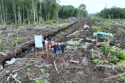 Gakkum Kemenhut segel 80 hektare areal hutan bekas terbakar di Sumatera Selatan