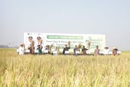 Ngawi targetkan lahan tanam ramah lingkungan capai 25.000 hektare