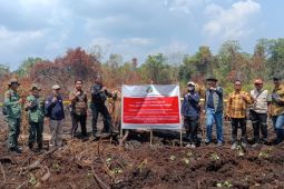 Kementerian Kehutanan segel tiga perusahaan dengan areal gambut terbakar