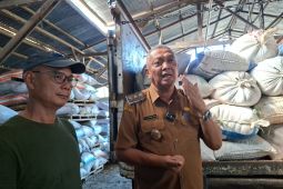 Bengkayang dorong peningkatan produksi jagung untuk ekspor