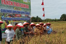 Gubernur: Jambi  berpotensi meningkatkan produksi padi signifikan