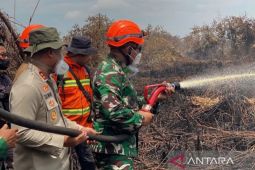 Kodam I Bukit Barisan kerahkan 920 prajurit padamkan karhutla di Riau