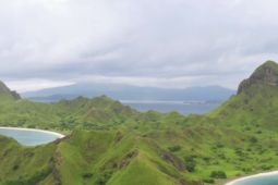 Pembangunan Pulau Padar ikuti hukum dan konservasi