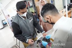 DPKH Kaltim gelar vaksin rabies gratis  sambut HUT RI