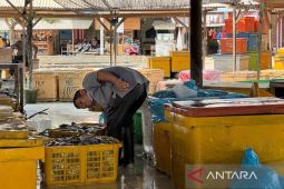 Ikan tongkol hasil tangkapan nelayan Aceh Timur capai 1.505 ton per bulan