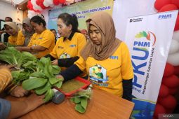 Pelatihan hidroponik untuk nasabah PNM Mekaar