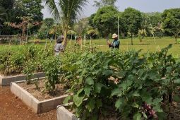 Lampung pastikan pasokan pangan aman untuk kendalikan inflasi