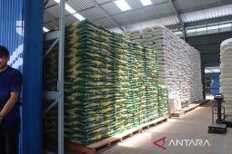 Bulog Lamsel pastikan beras bantuan pangan berkualitas baik
