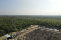 Interkoneksi SUTT Kendawangan - Sukamara jadi tulang punggung listrik andal di Kalbar dan Kalteg