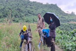 Pemprov Sulbar turunkan tim terpadu tinjau dugaan pencemaran limbah sawit