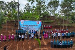 Polres Tasikmalaya bertanam jagung di lahan 206 hektare