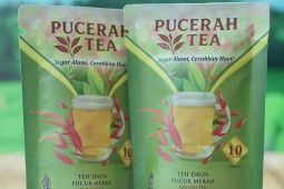 Dosen Unja temukan tanaman  pucuk merah bisa jadi minuman kesehatan