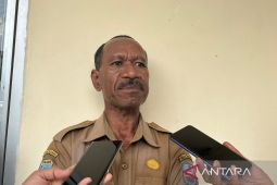 Diskop Manokwari bangun kemitraan BUMDes danai Kopdes Merah Putih