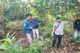 Pemprov Sultra cek ekosistem lahan Sekolah Garuda di Konsel