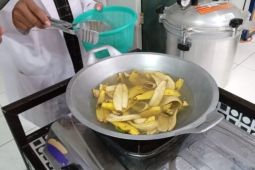 Tim Unila ciptakan cemilan inovatif berbasis kulit pisang dan bayam