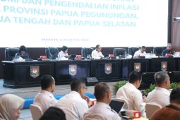 Mendagri undang tiga provinsi di Papua bahas tantangan strategis