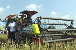 Kejati Lampung berikan pendampingan terhadap 7.563 petani padi