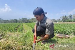BPN Jatim: GEMAPATAS cegah konflik pertanahan