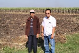 Petani tebu desak pemerintah perbaiki total tata niaga gula nasional