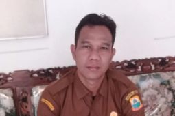 Palawija dapat dijadikan pengganti makanan alternatif