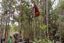 Masyarakat Tapanuli Selatan bentuk Fokat jaga pelestarian hewan