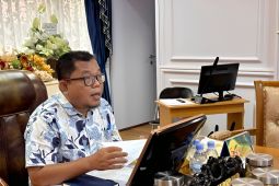 Pemprov Sulteng susun peta rencana SPBE wujudkan transformasi digital